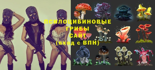 эйфоретик Балахна